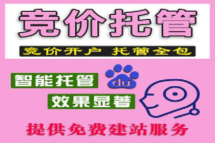 案例解析：竞价SEM托管助力电商增长